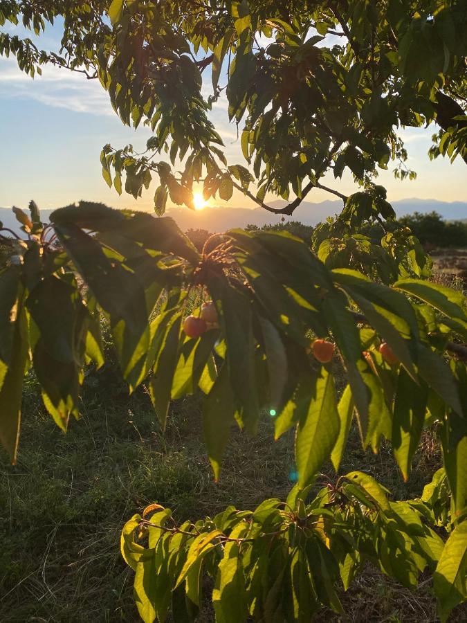 Nena Dashuri Agroturizem Peshkopi Luaran gambar
